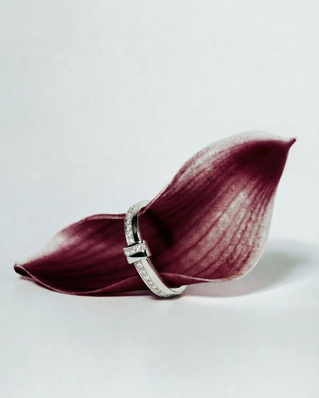 Anillo Alma
